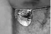 Macro shot of an insert with a large mechanical fracture of the cutting edge
